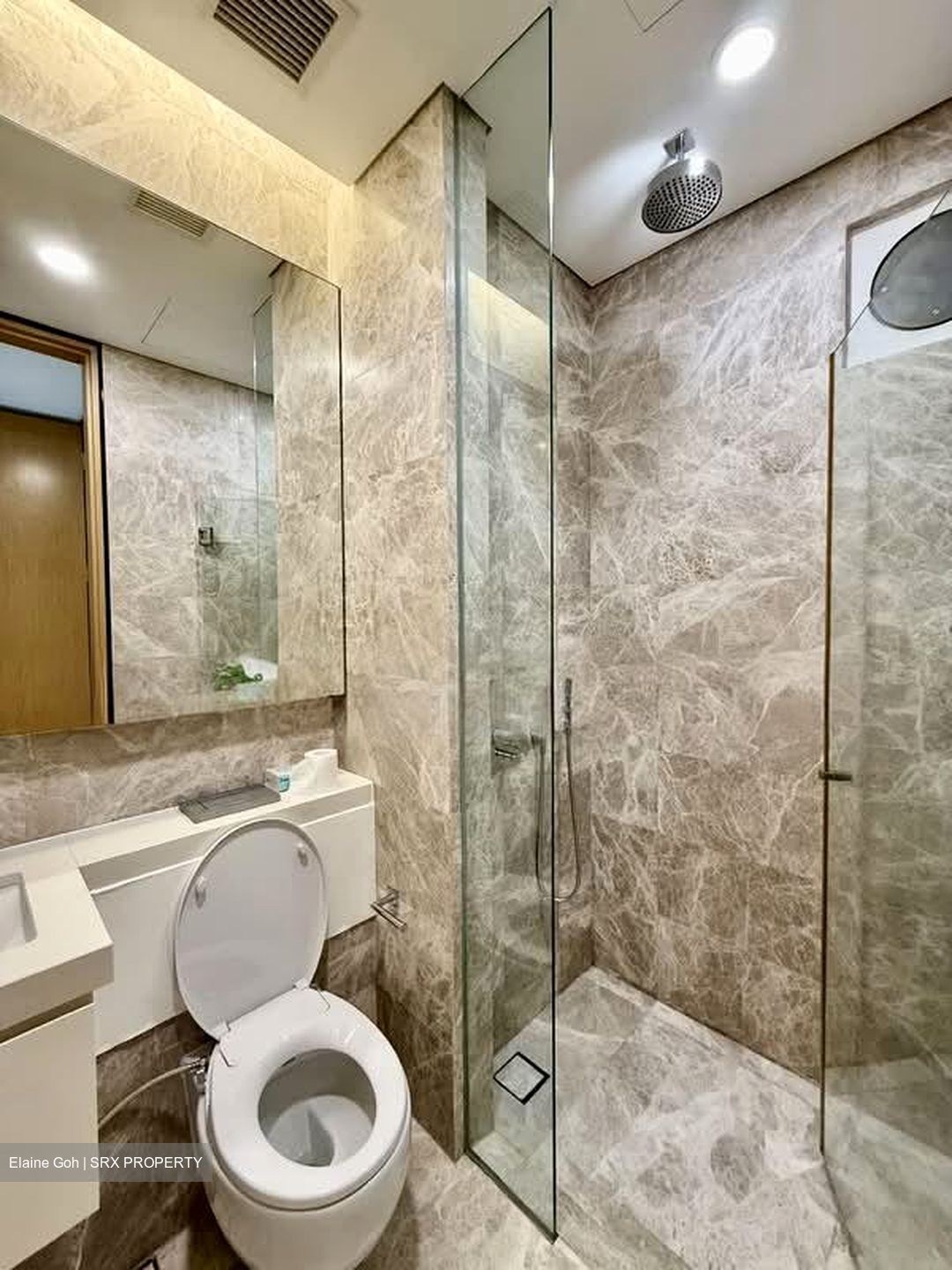 The Laurels (D9), Condominium #580936431